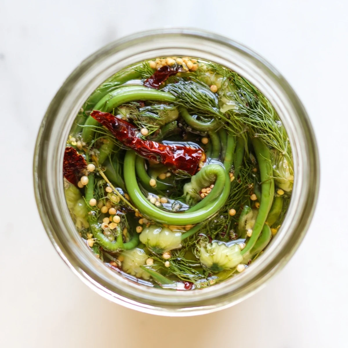 Close up of crisp pickled garlic scapes layered with dried chilies and fresh dill in translucent brine